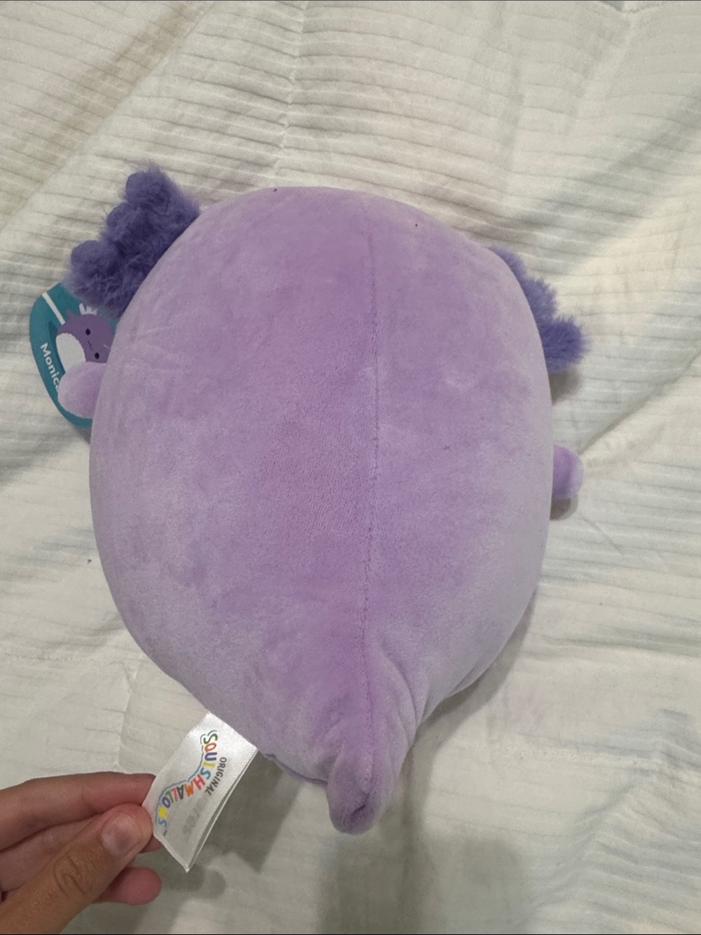 Monica Axolotl Squishmallow 8โ - Picture 3 of 3